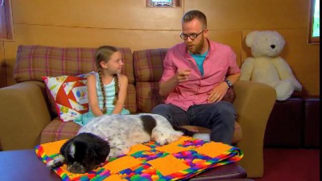 Therapy Dog