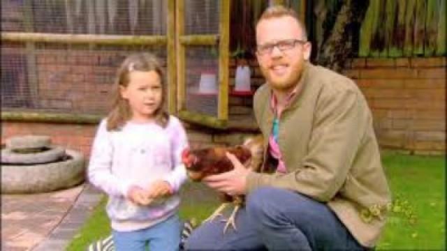 Chickens