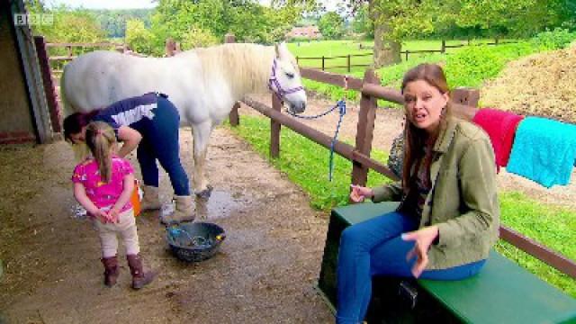 Therapy Pony