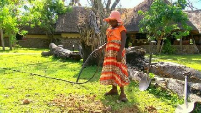 African Special: Camp Wildlife