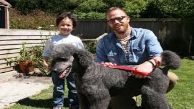 Murdoch the Poodle