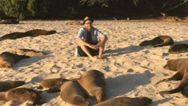 Galapagos Special: Animals of Fernandina