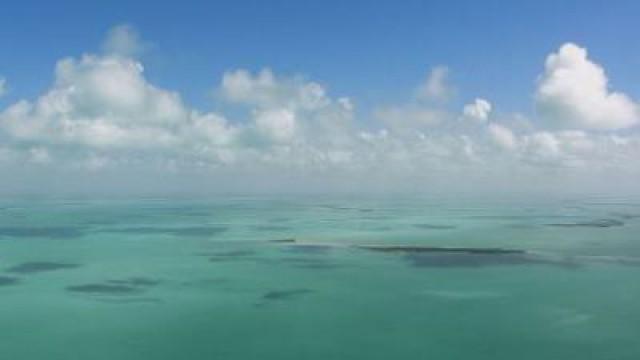 Die Ostküste der USA (1) - Sonnenstaat Florida