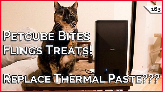 Petcube Bites Review! Should I Change My Thermal Paste??? Apartment WiFi Security!