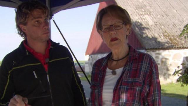 Gudrun Schyman