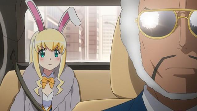 Eyes of a Rabbit, Ears of a Rabbit