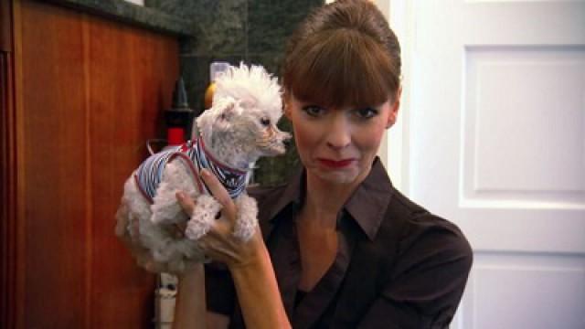 The Castle Goes to the Dogs