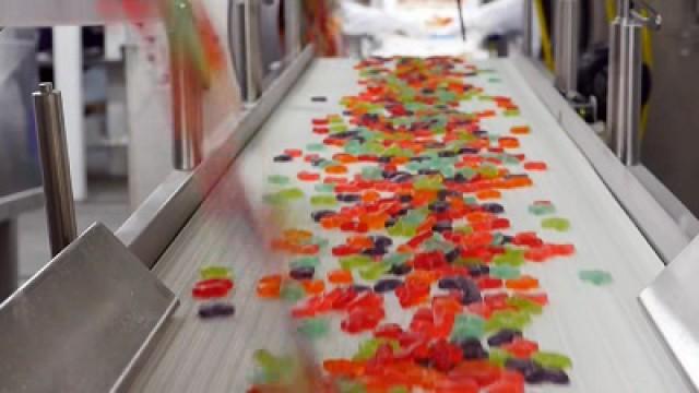 Candy Critters