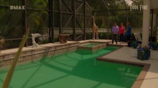 Zen & the Art of Pools