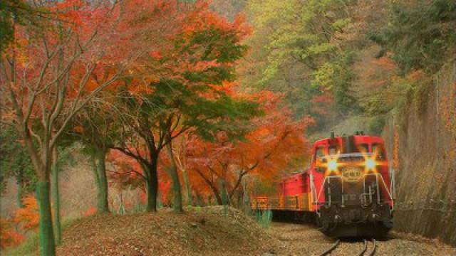 A Fall Trip from Kyoto to the Japan Sea