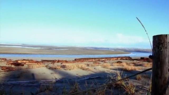 Goodbye City Life, Hello Haida Gwaii, British Columbia