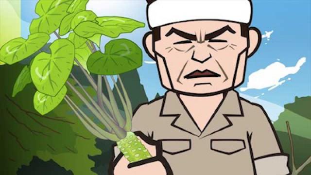 本物のワサビ