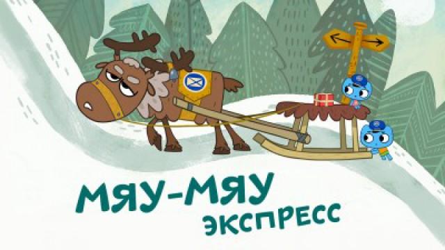 The Kitty Express