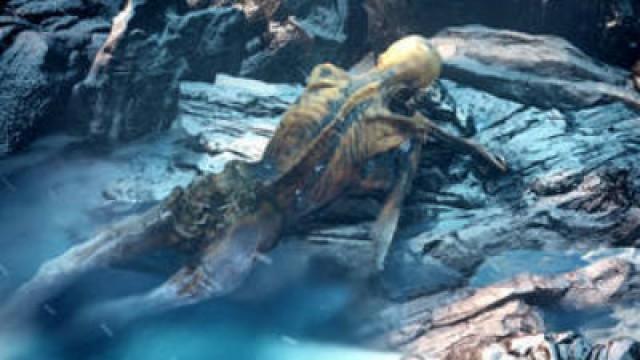 Otzi The Iceman