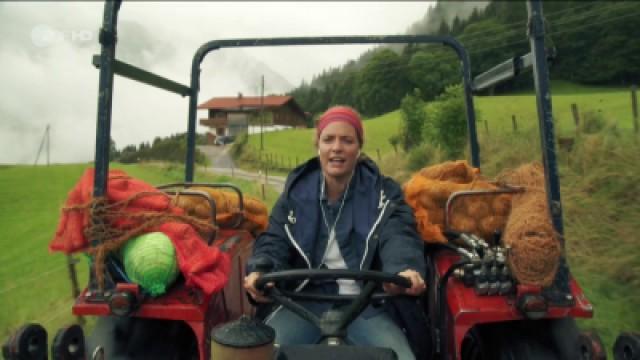 Zurück ins Leben