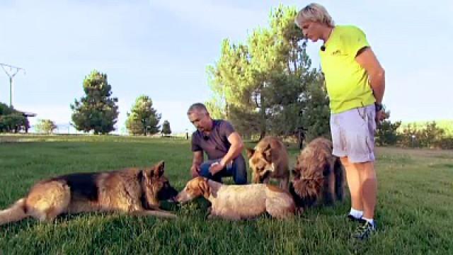 El desafío canino de Jesús Calleja