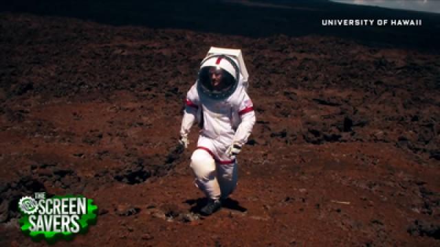 Living a Year on 'Mars'