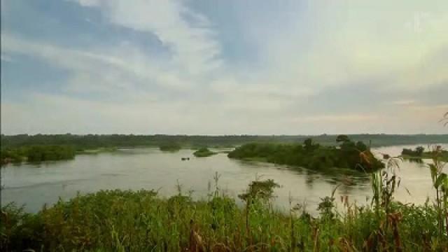 River Nile