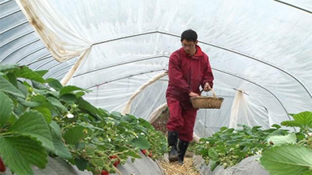 China's College Graduates: Seeking a Different Lifestyle
