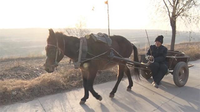 Working to Revive China's Depopulated Villages
