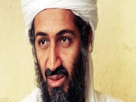 Bin Laden: A Terrorist Mastermind
