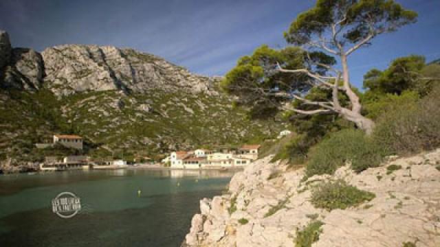 Les Bouches-du-Rhône, de la Camargue aux calanques