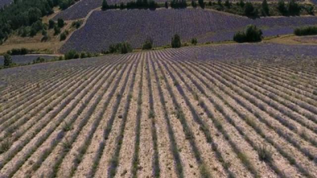 La Provence, des Alpes au Luberon