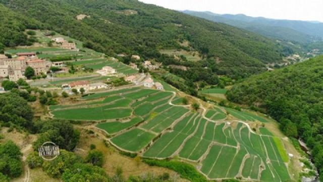 Les Cévennes, du Gard à la Lozère