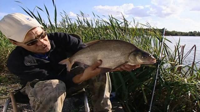Days 23-24 Ruffe and Bream