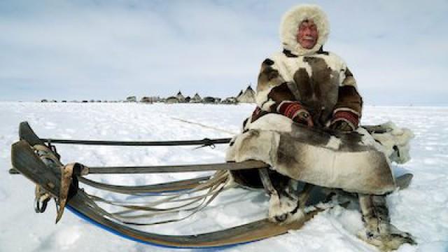 Surviving with Animals