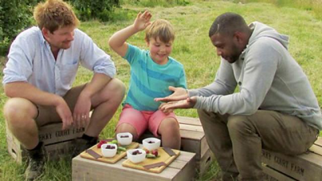 Sheep Shearing and Picking Blackberries