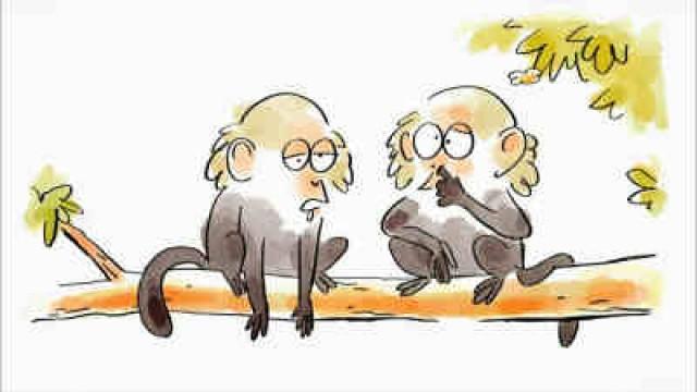 Wie Tiere die Welt sehen