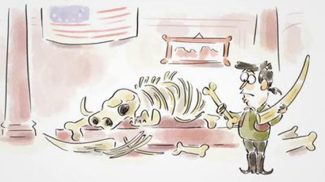Das Fossil Donald Trump