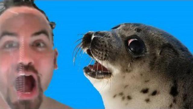 Seal The Deal