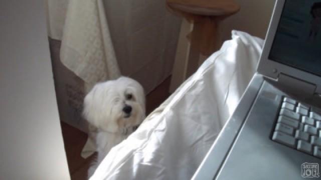 Give Me Kisses