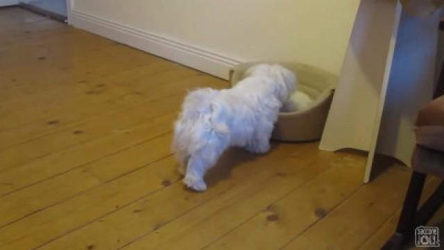 BANISHED TO THE BEDROOM