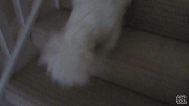 ITCHY BELLY BUTTON!