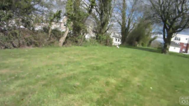 ESCAPING PUPPIES!