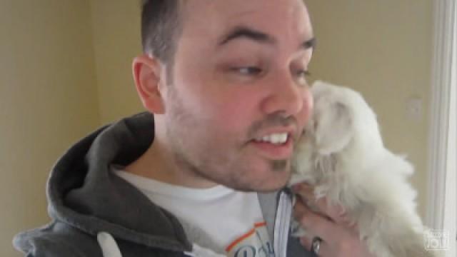 PUPPIES FIRST HAIRCUT!