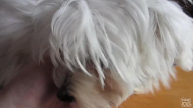 FRENCH KISSING MY DOG!