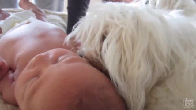 DOG LICKS BABY CLEAN!