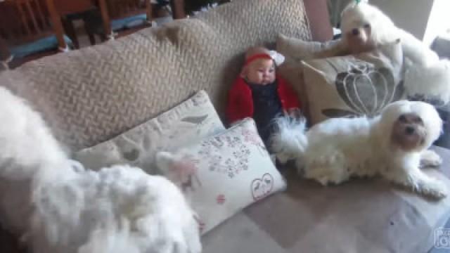 BABY'S FIRST CHRISTMAS!