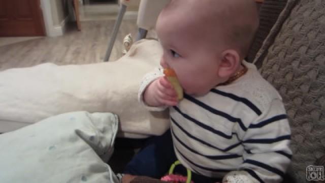 BABY'S FIRST APPLE!