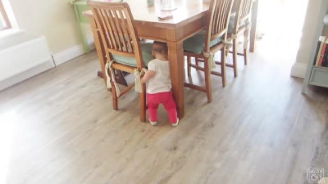 BABY WALKS DOGS!