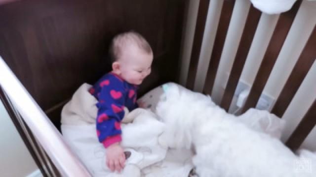 TOO MUCH KISSING!