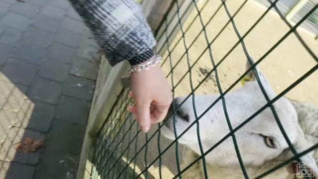 BABY AT THE ZOO!