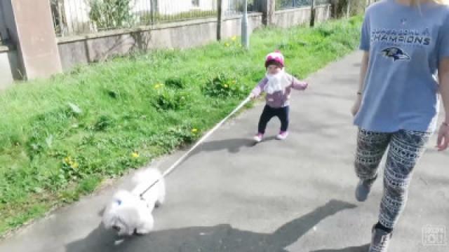 BABY WALKS DOG!