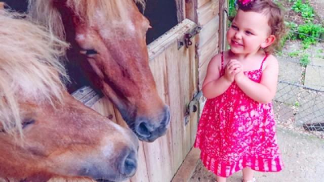 WE'RE GETTING A HORSE!
