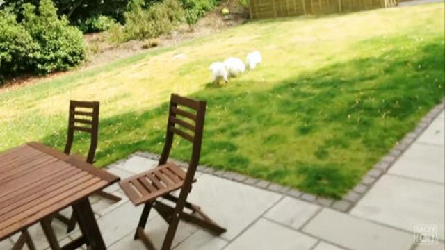 SPRINKLER PRANK!