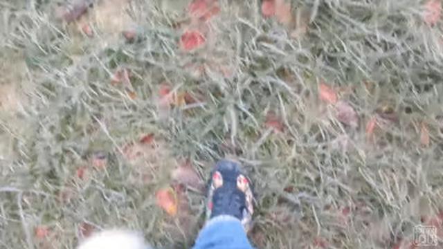 OUR LAST VIDEO...............................OF 2014!